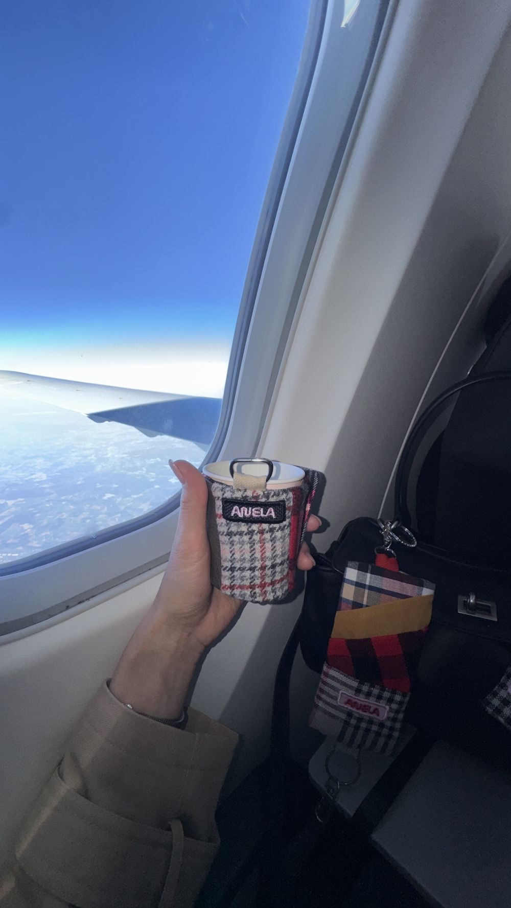 ANELA Spark form, by an airplane window